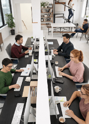 Visionary Software Team